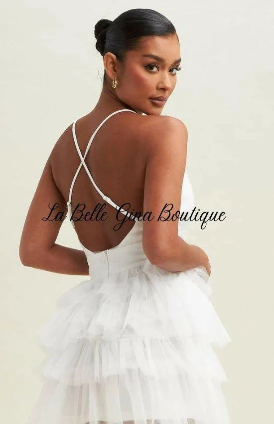 Alice Mesh Tiered Tutu Dress - Elegant Party Birthday Holiday Date Dinner and Flirtatious Fashion Mini Dress-Black