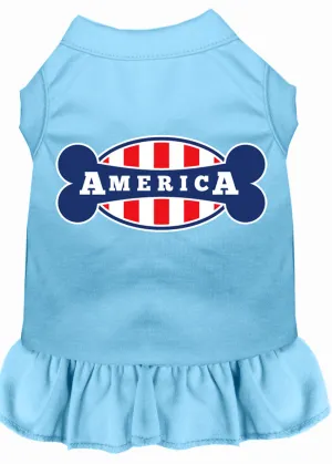 Bonely In America Screen Print Dress Baby Blue Sm