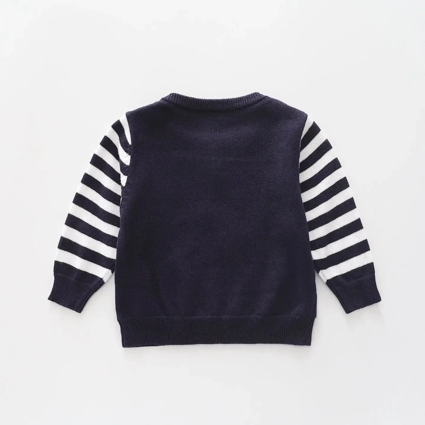 Little Blue Dino, Baby Boys Knit Jumper